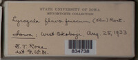 Image Associated With the Occurence